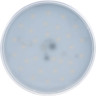 Лампа светодиодная JAZZWAY PLED POWER GX70 11W 5000K 1027672A